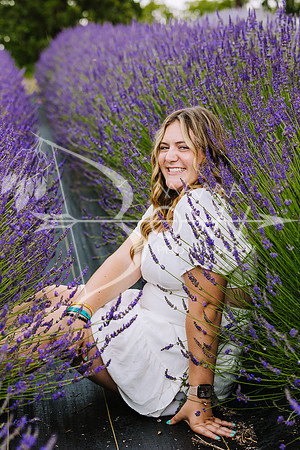 zoie lavendar ws extra