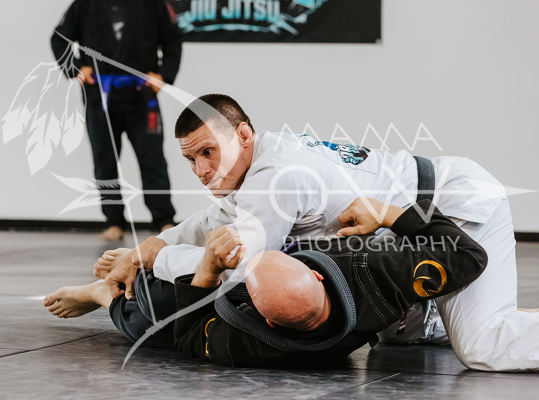 primate coaching Gi_-63