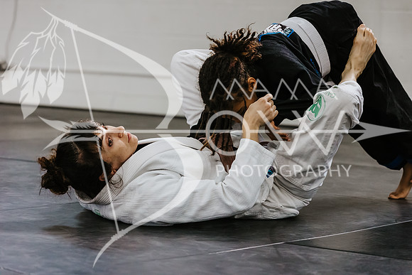primate coaching Gi_-73