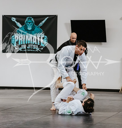 primate coaching Gi_-39