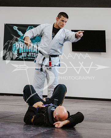 primate coaching Gi_-59