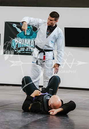 primate coaching Gi_-58