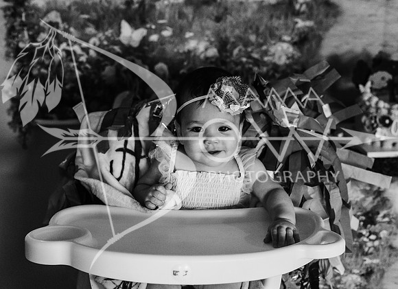 Amelia not included ws-8