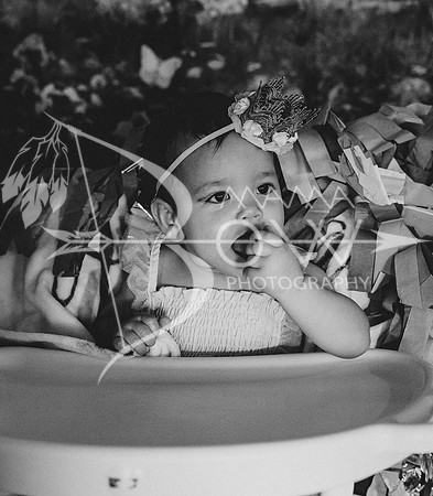 Amelia not included ws-13