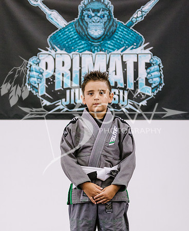 Primate individuals wms-40