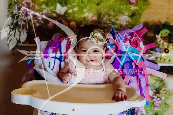 Amelia not included ws-9