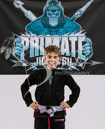 Primate individuals wms-65