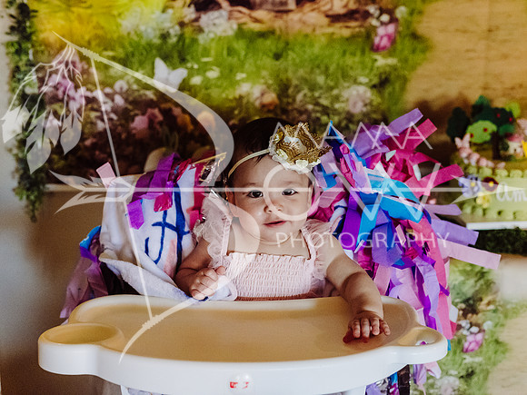 Amelia not included ws-7