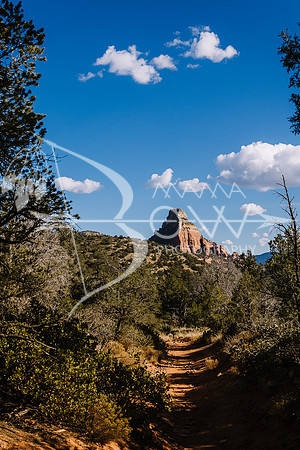 Arizona Trip ccb-57