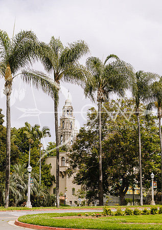 San Deigo CCBW_-28