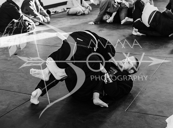 Primate Promotions ccbw ws-95