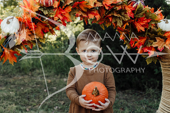 Theide family ws (2 of 10)