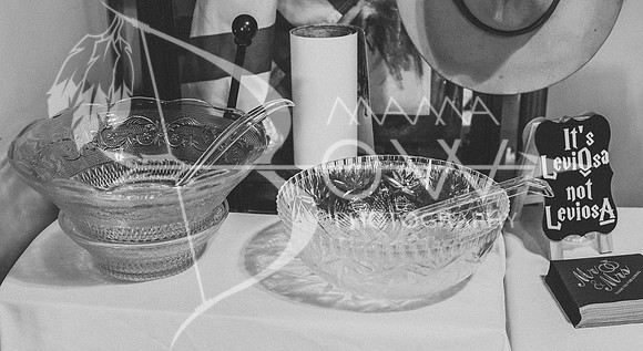 FOSTER Wedding 10-13-23 ws-21