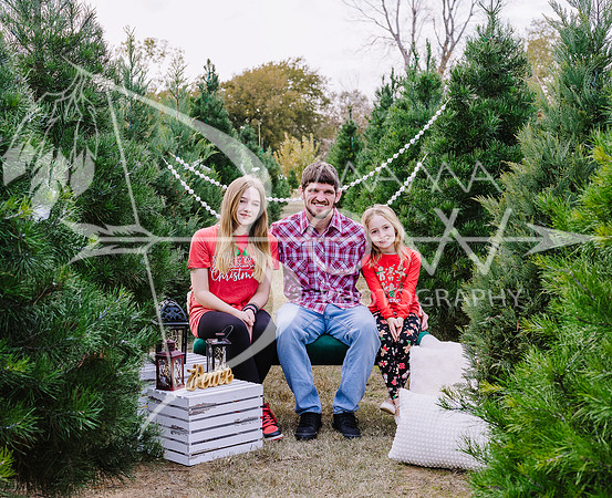 Flick  xmas 10