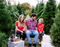 Flick family  xmas upsale-4