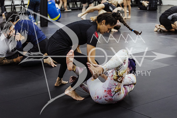 Giadama epic open mat ws-25