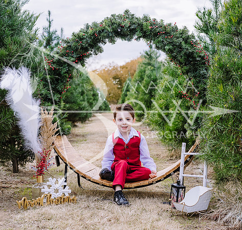 Liv C xmas 10 ws-8