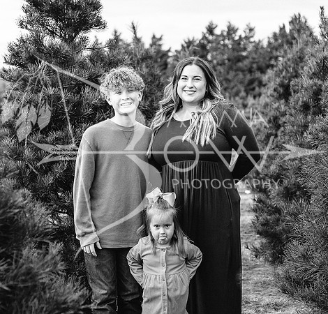 Caitlyn xmas 10 ws-9