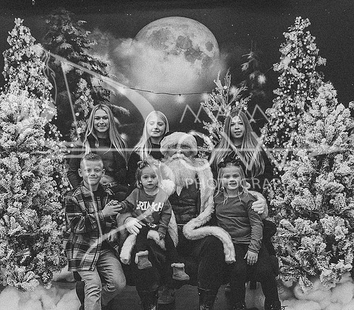 Watson santa ws-2