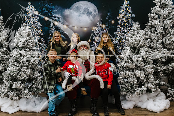 Watson santa ws-3