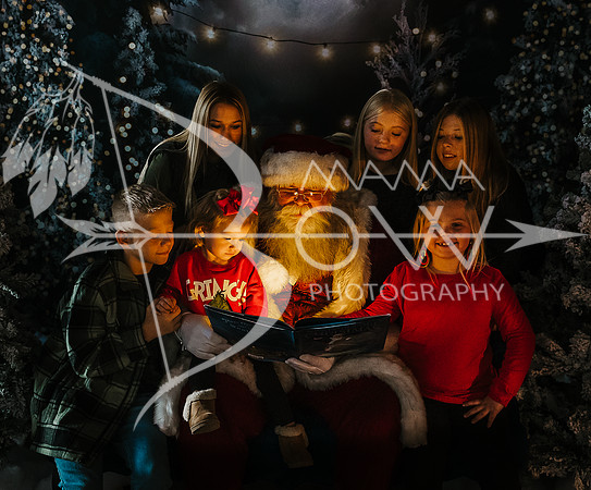 Watson santa ws-7