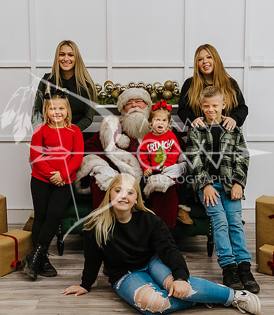 Watson santa ws-9