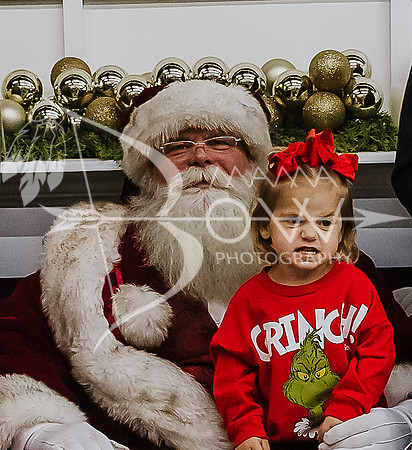 Watson santa ws-11