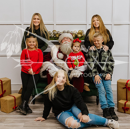 Watson santa ws-8