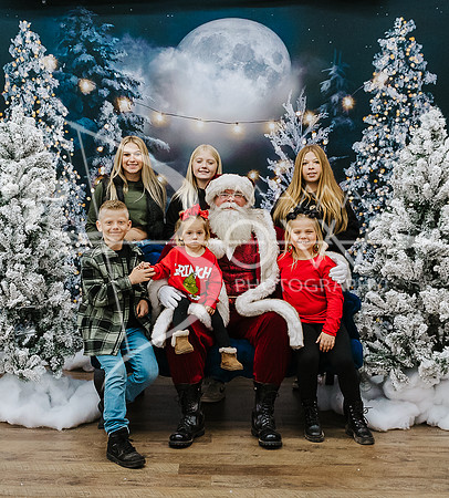 Watson santa ws