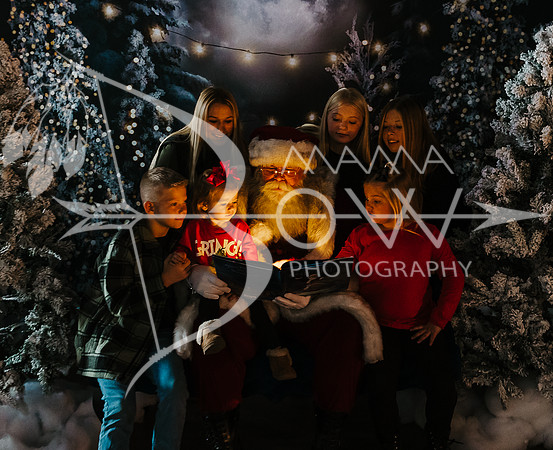 Watson santa ws-5