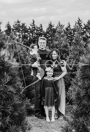 Friedman family xmas upsale-15