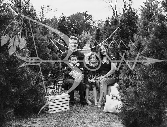 Friedman family xmas upsale