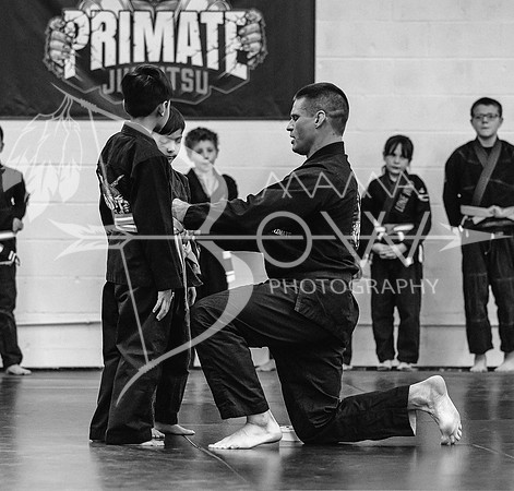 Belt Promotions   ws-8