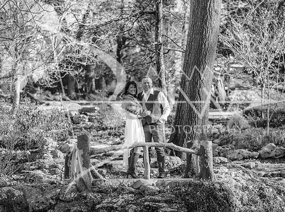 Brewer elopement 2024 ws-34
