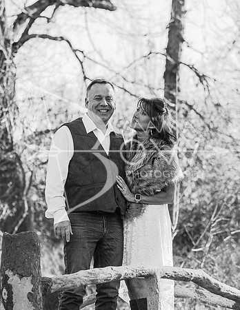 Brewer elopement 2024 ws-36