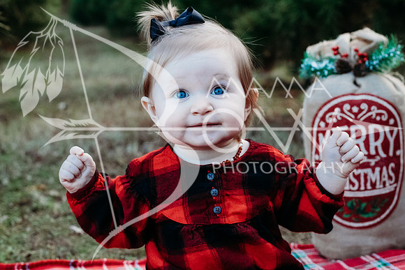 speer family web-6