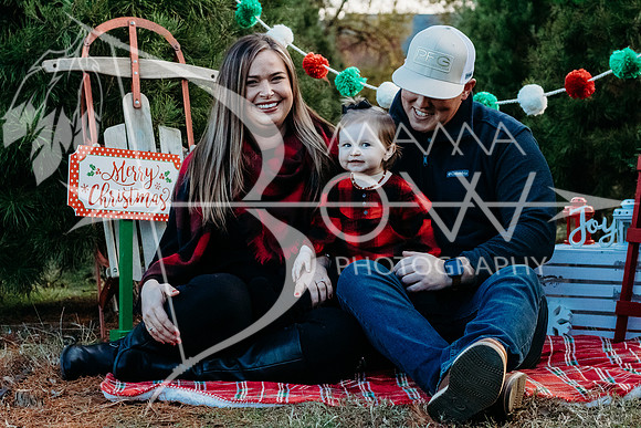 speer family web-2