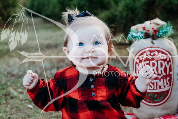 speer family web-7
