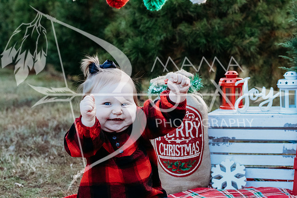 speer family web-8