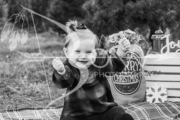 speer family web-9