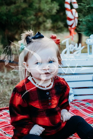 speer family web-10
