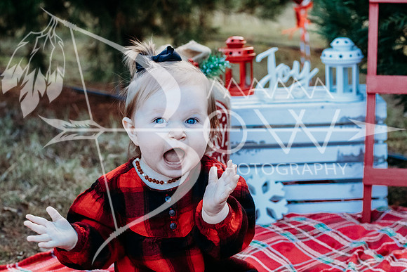 speer family web-11