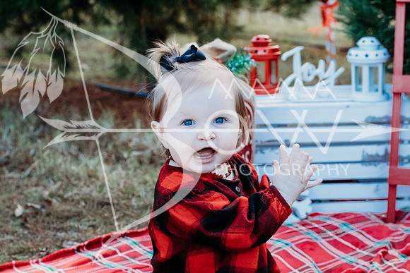 speer family web-12
