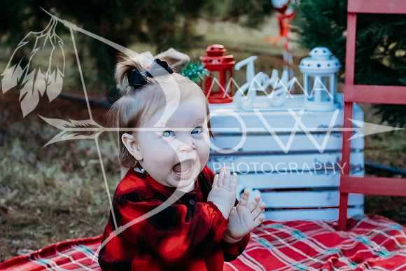 speer family web-13