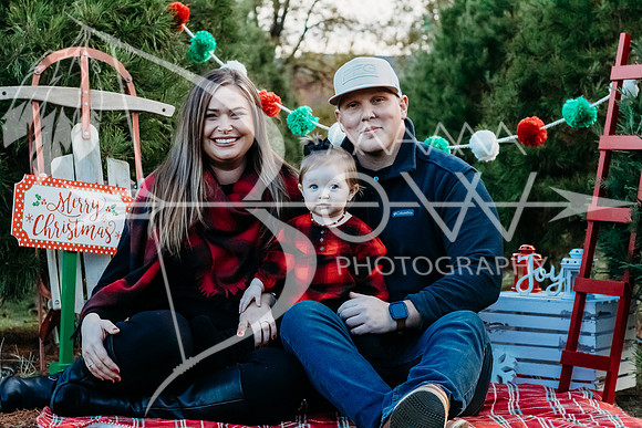 speer family web
