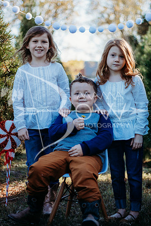 Lollis Family website-3
