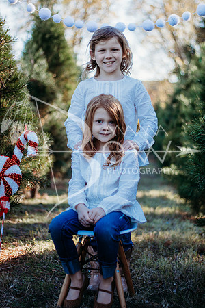 Lollis Family website-5