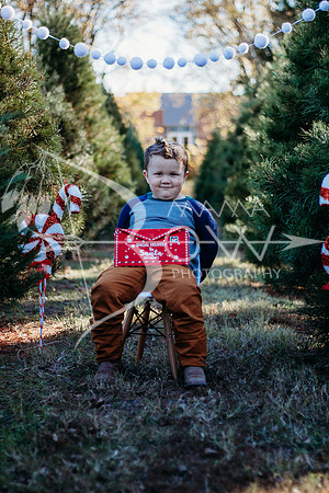 Lollis Family website-4
