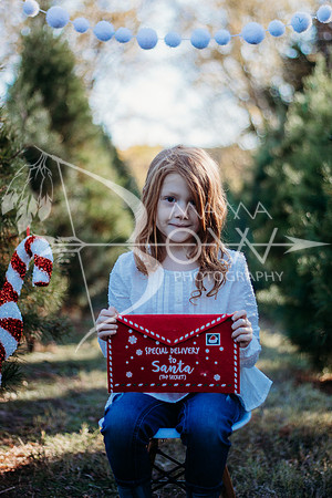 Lollis Family website-6