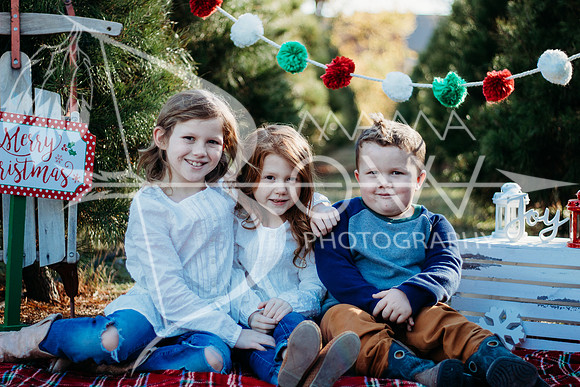Lollis Family website-2
